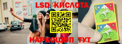 ПСИЛОЦИБИНОВЫЕ ГРИБЫ Заводоуковск