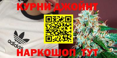 бошки Жуковский